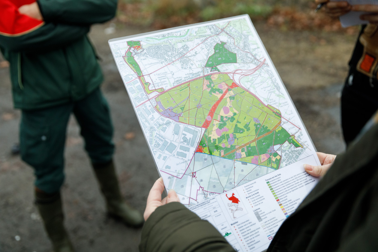 Projet d'aménagement de la Forêt de Maubuisson