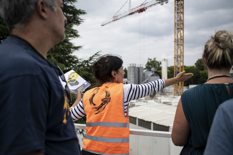 Sur la gauche, le cèdre du Liban.